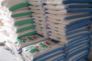 Maize Flour from Tanzania